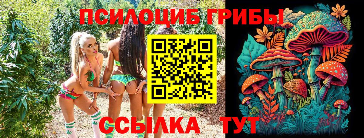 Галлюциногенные грибы мицелий  Вход с VPN  Каспийск  хочу наркоту  Галлюциногенные грибы ЛСД 