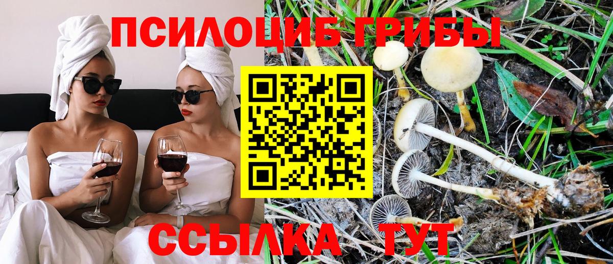 Галлюциногенные грибы мухоморы Каспийск